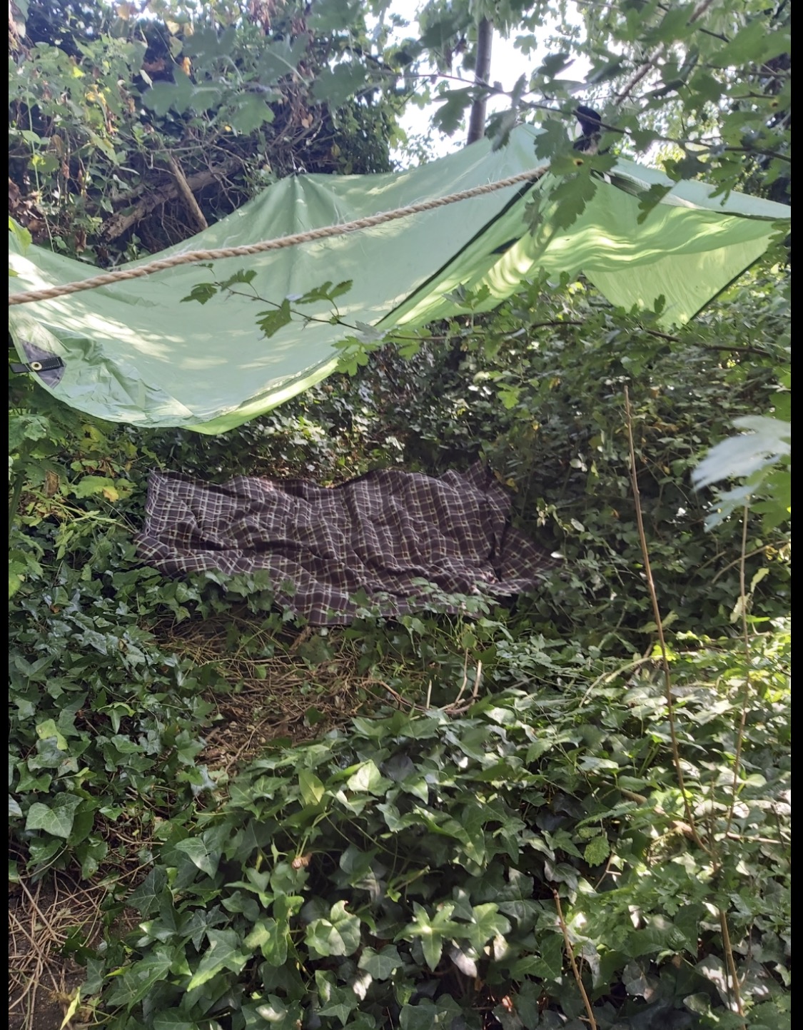 Den built during Bushcraft Play Therapy