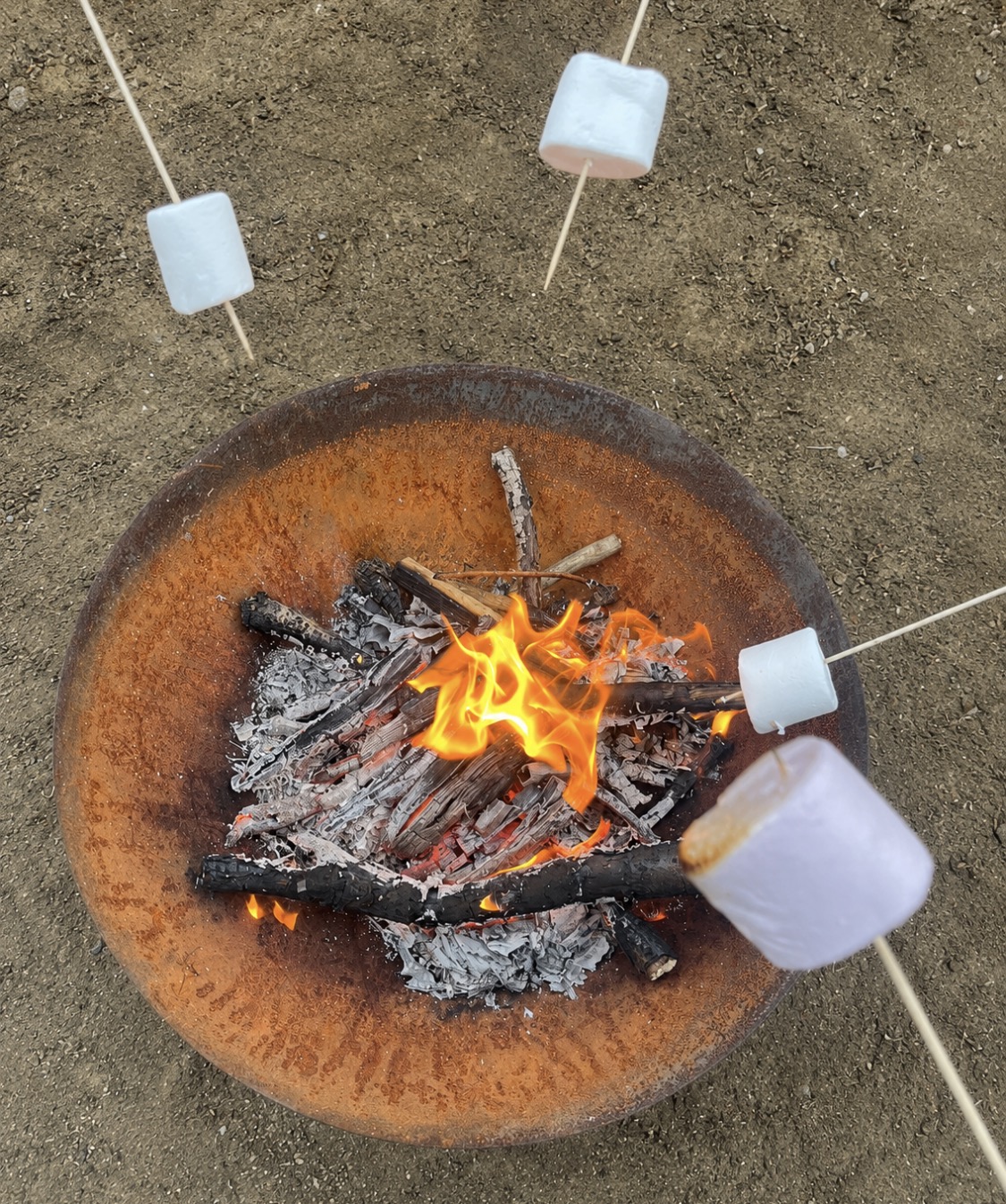 Toasting marshmallows during Bushcraft Play Therapy